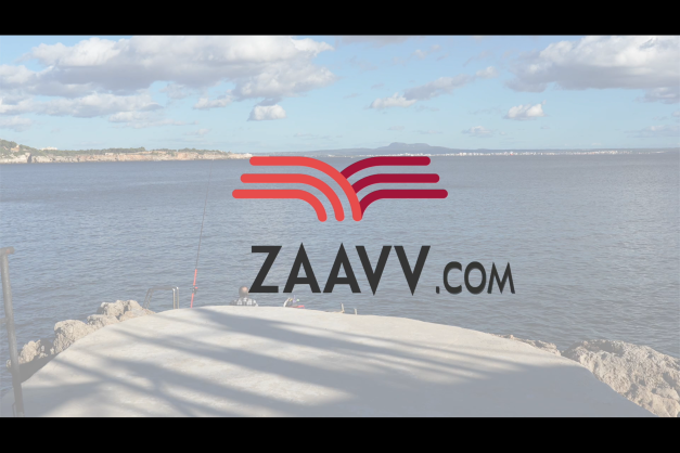 ZAAVV | Video des zweiten Workshops Link zu ZAAVV Video vom zweiten Workshop