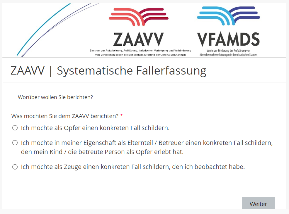 Formular systematische Fallerfassung